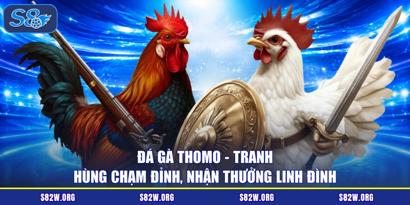 Đá Gà Thomo - Tranh Hùng Chạm Đỉnh, Nhận Thưởng Linh Đình